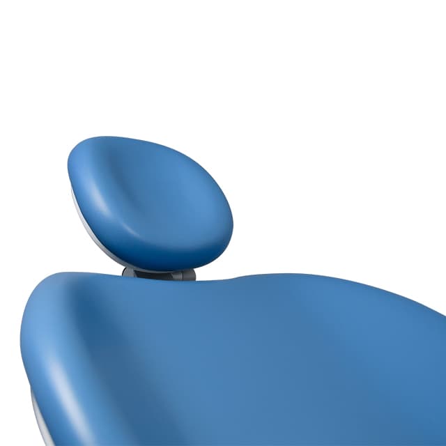 Rear Perspective