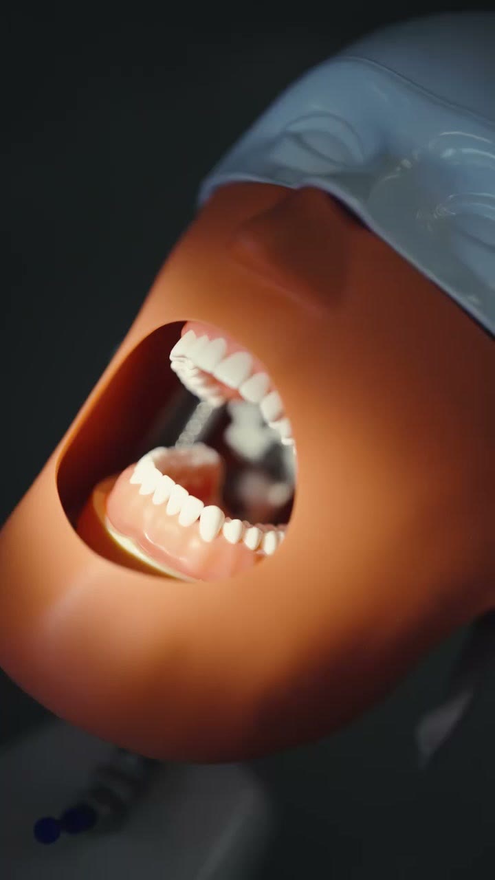 Close view of the phantom head used for hands-on practice