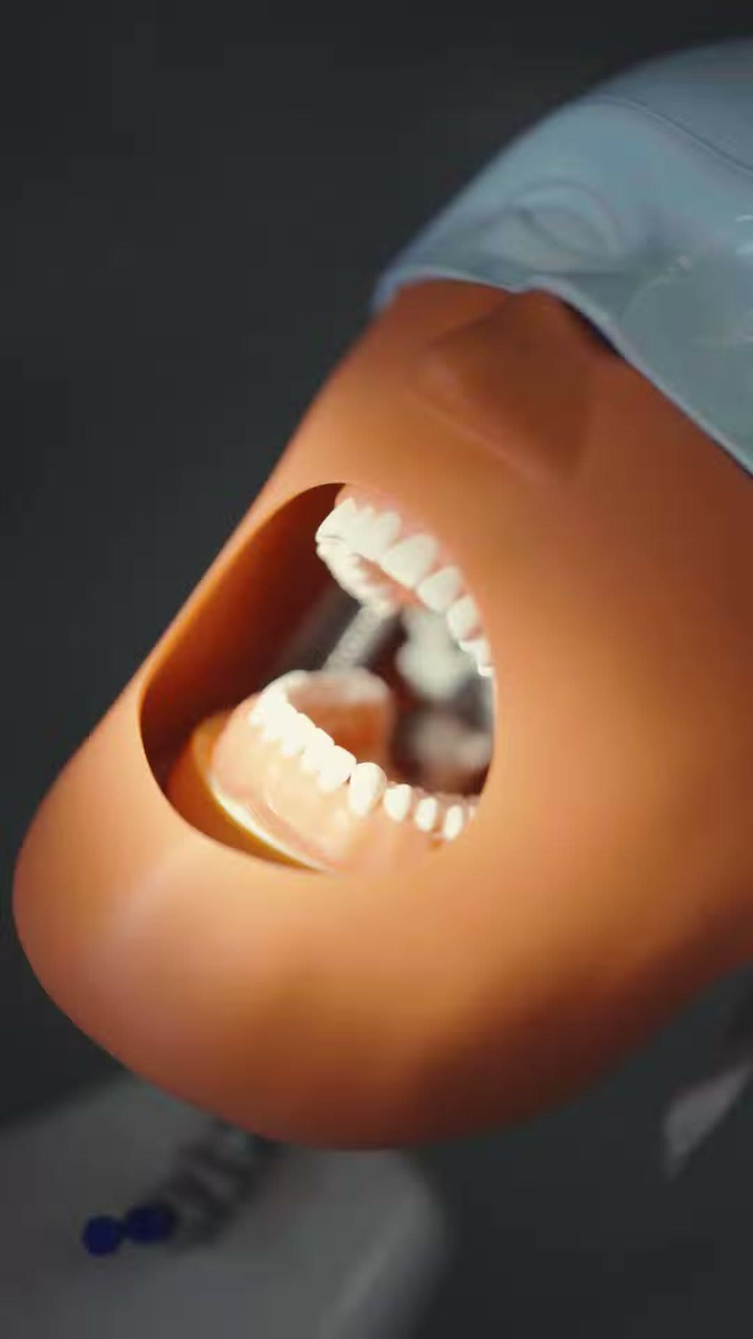 Phantom head with full dentition, the practice patient at every station