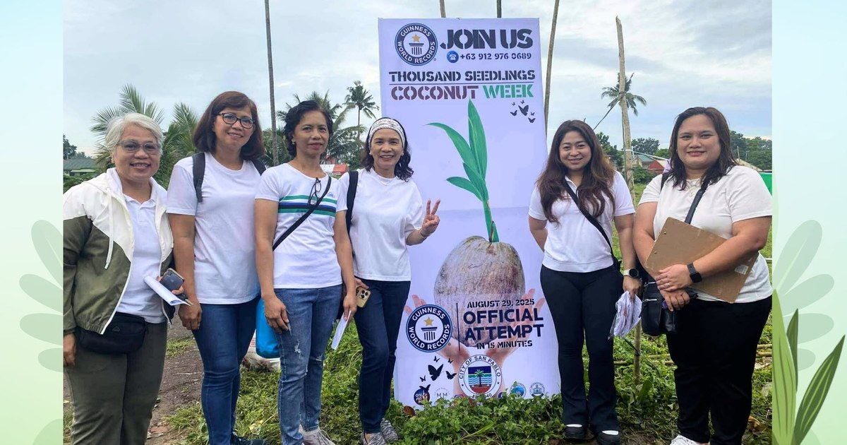 PDA San Pablo City Chapter Plants Coconuts the Morning the City Sets a Guinness World Record